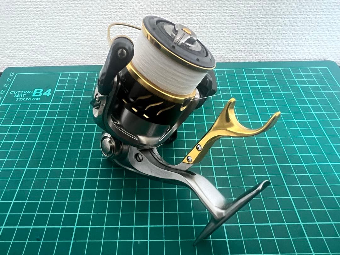 デスピナ　2500DHG