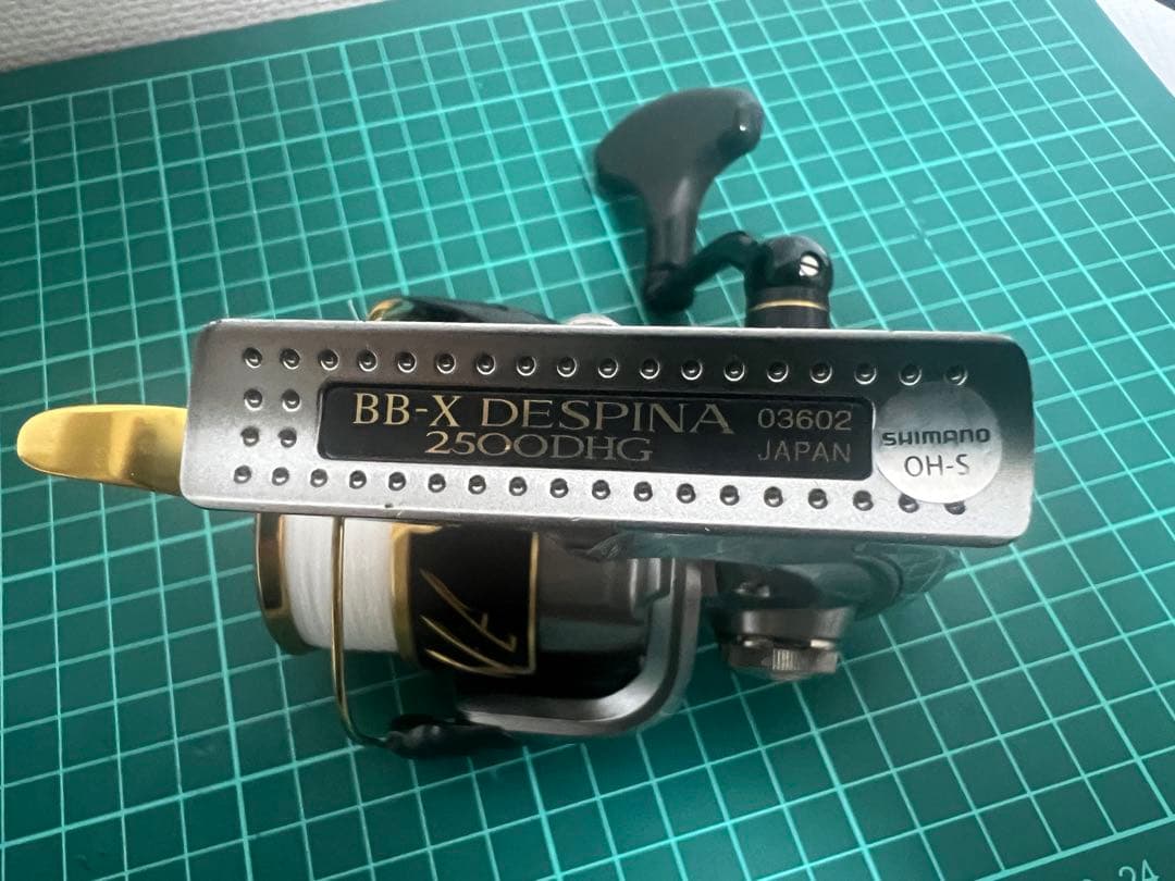 デスピナ　2500DHG