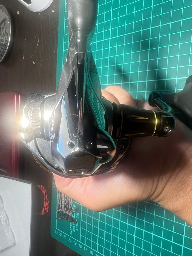 デスピナ　2500DHG