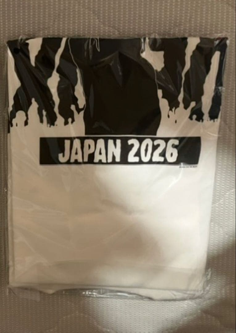 ONE OK ROCK BLARE FEST限定 DETOX Tシャツ XL