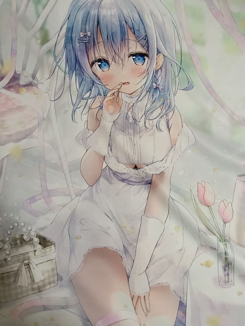 ３種セットB2タペストリー ノアちゃんC102FANBOX
