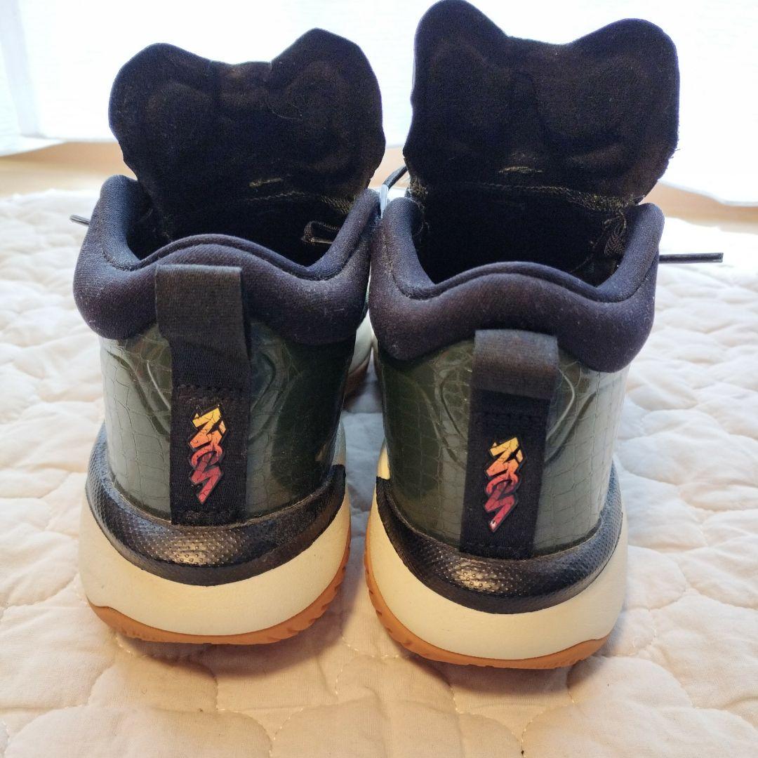NIKE JORDAN ZION1 PF ジョーダン ザイオン1 25.5