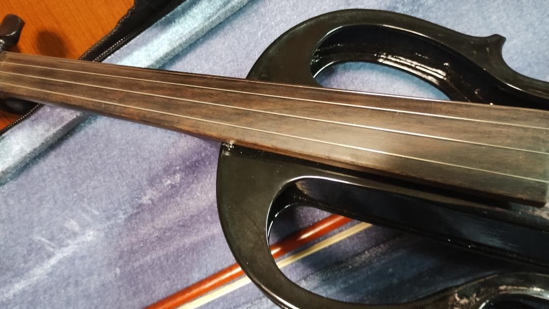 Carlo Giordano エレキバイオリン EV-202 ブラック