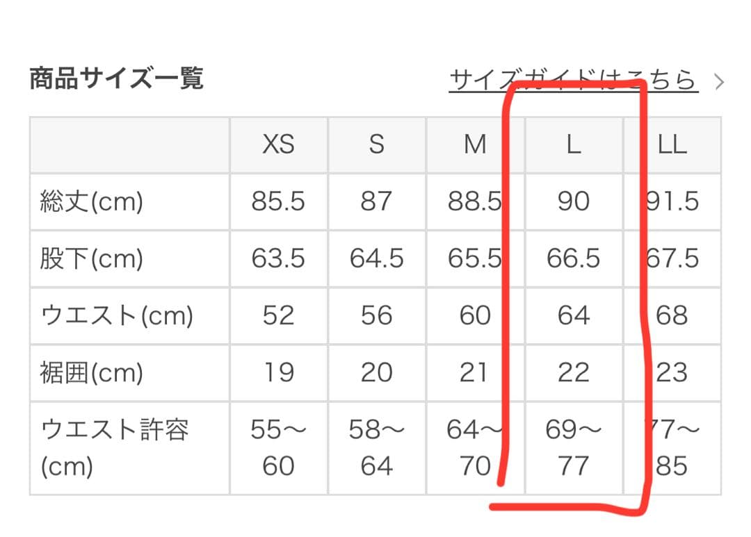 【SUKALA】カラーラインレギンス ブラウン　Lサイズ☆一度着用のみ☆