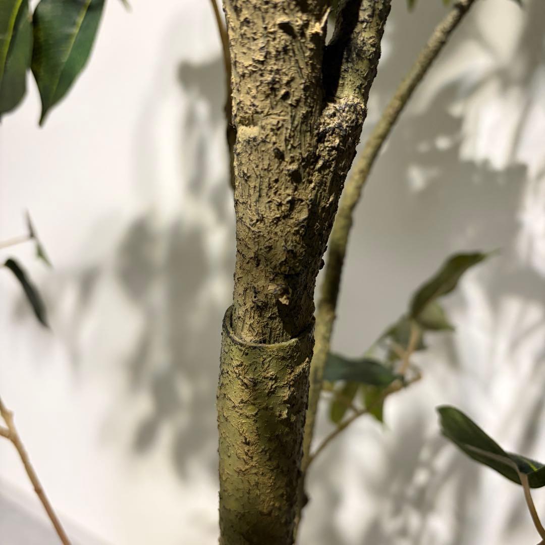 フェイクグリーン　ベンジャミン(フィスカ) 165cm 観葉植物　造花