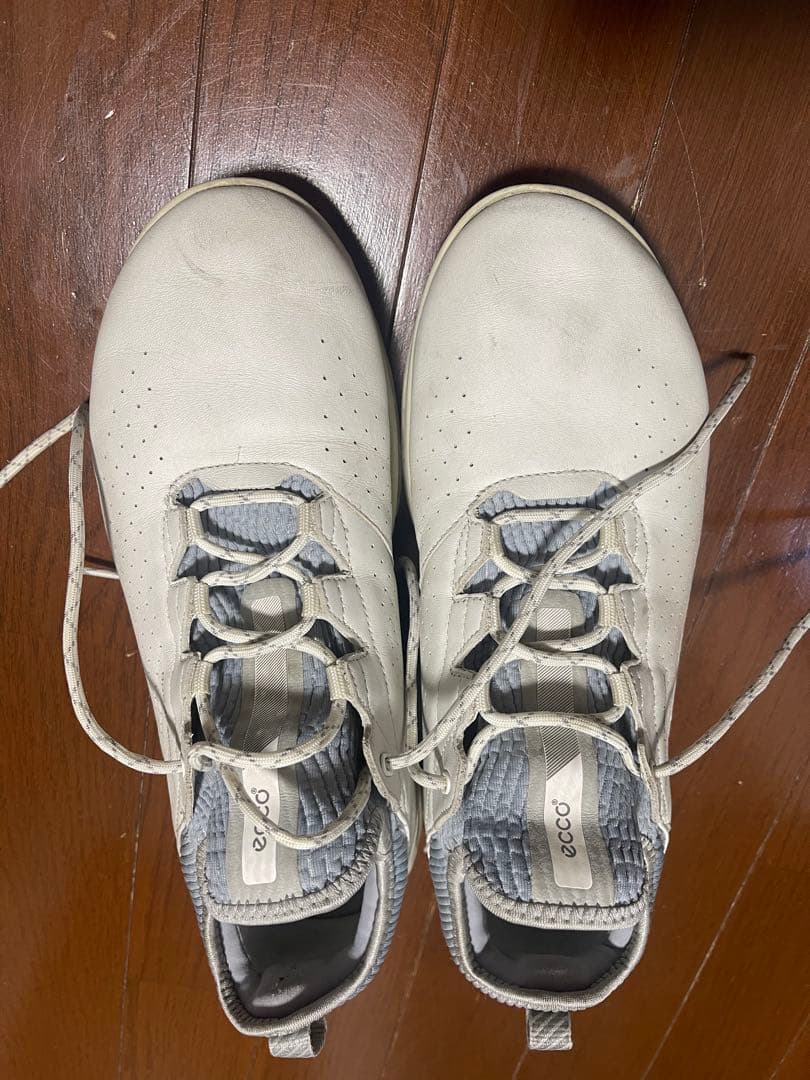 ecco エコー　ゴルフシューズ　BIOM C4 26.5〜27cm 43