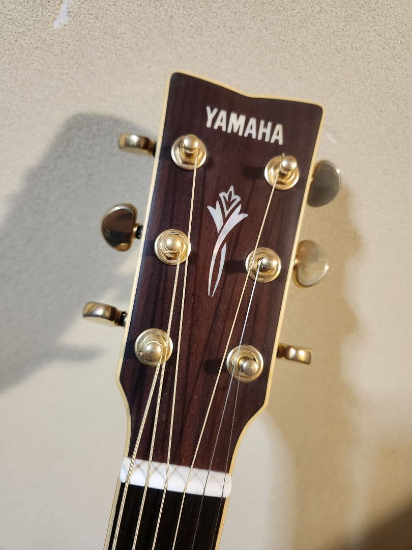 【 YAMAHA DW-8 VRS】#アコースティックギター