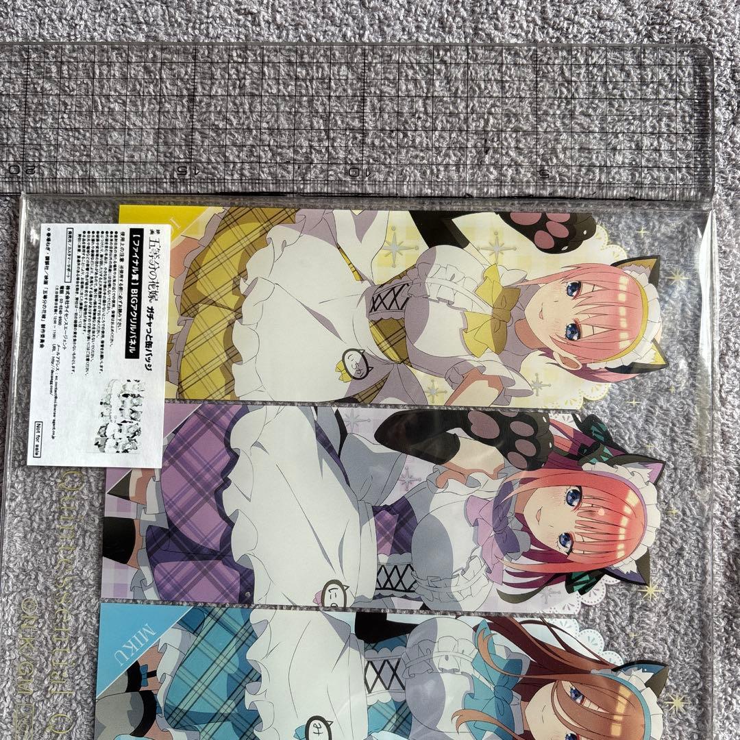 五等分の花嫁　猫耳一花二乃三玖四葉五月　ビッグアクスタ&アクリルパネル