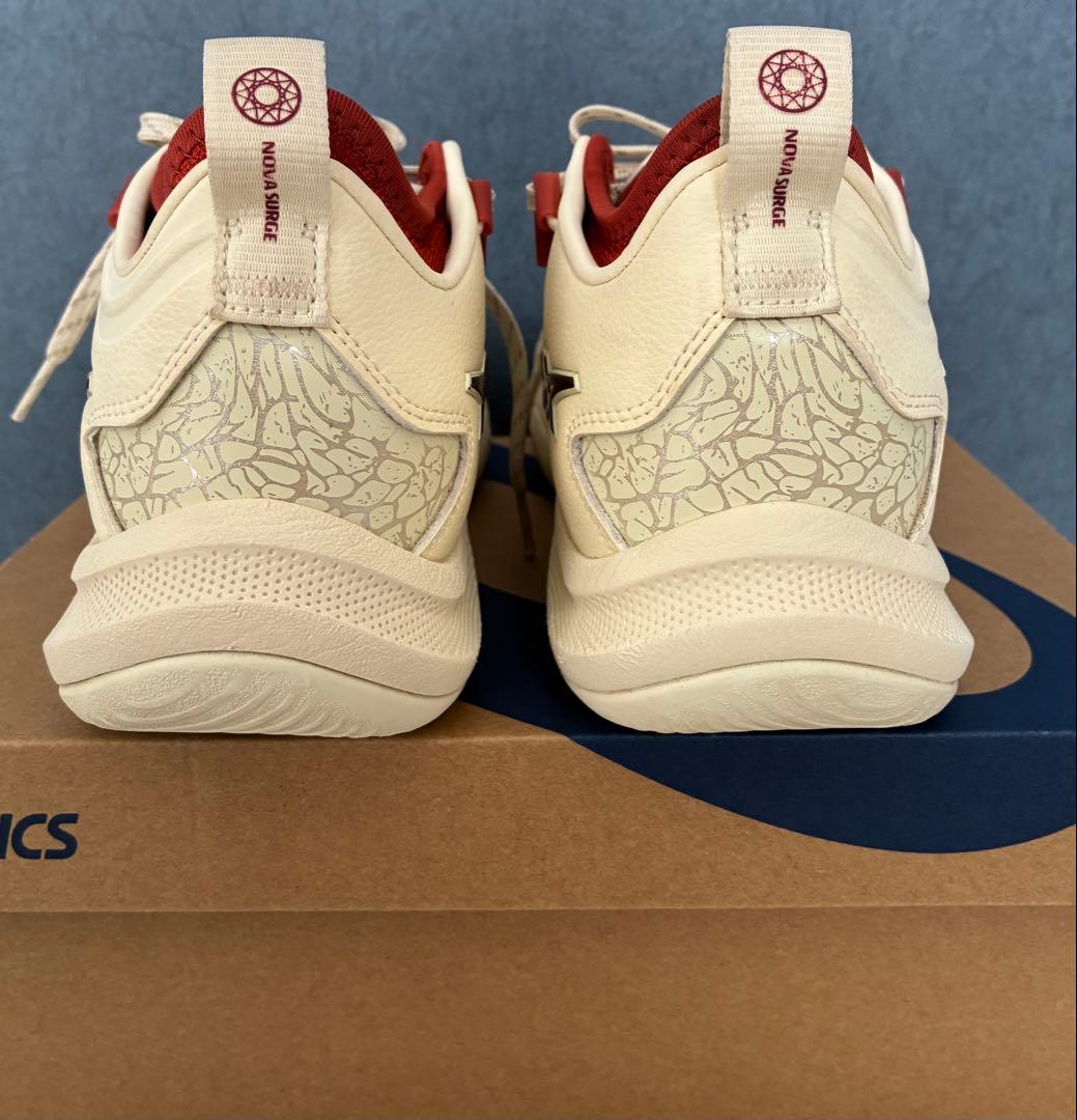 asics バスケットボールシューズ　25.0cm