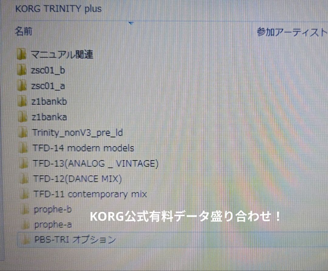 KORG TRINITY plus HDR+PBS-Tri+純正HC+ オマケ付