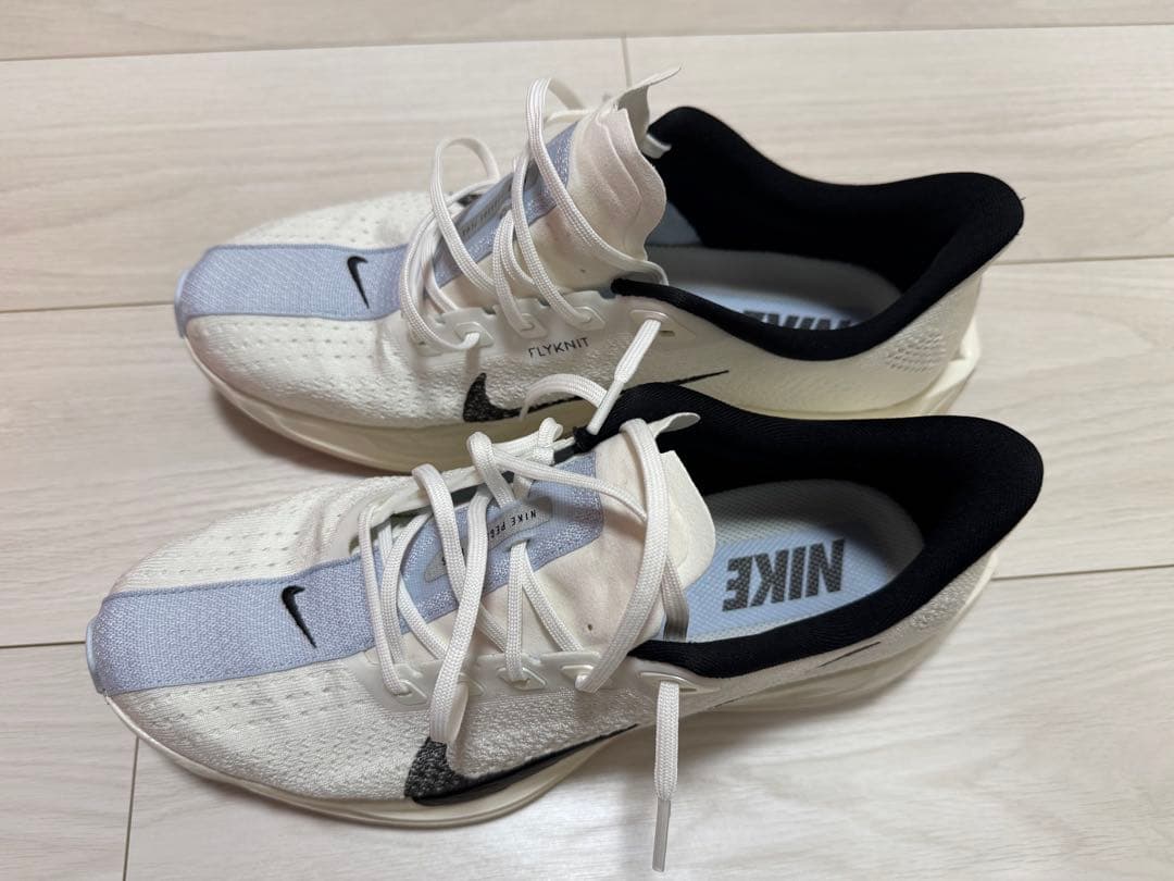 Nike シューズ PEGASUS TURBO 28cm