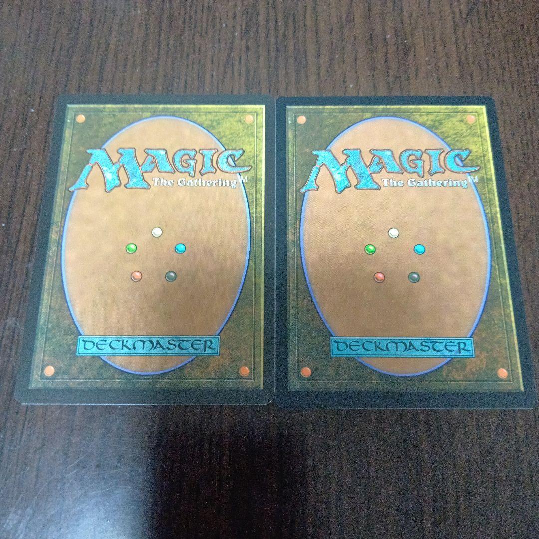 MTG タートルズ 華麗だが無礼者