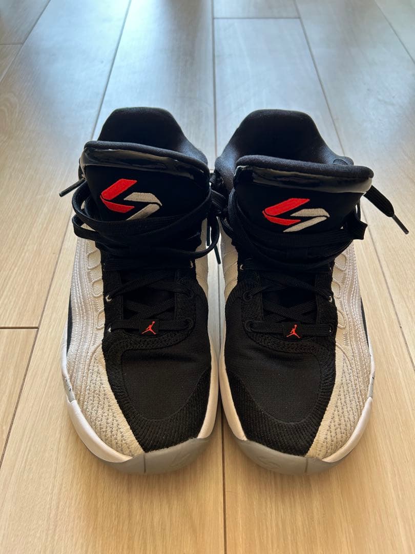 JORDAN LUKA4 PF サイズ26cm