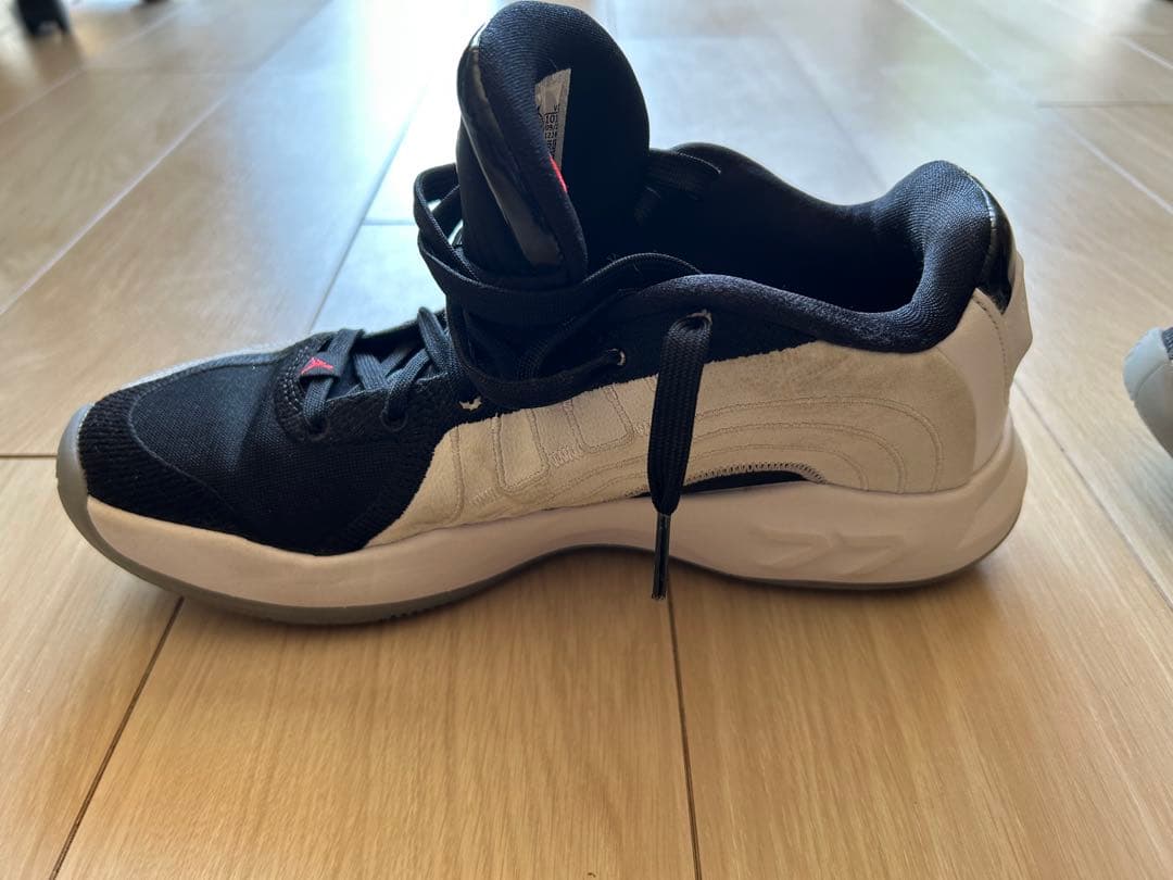 JORDAN LUKA4 PF サイズ26cm