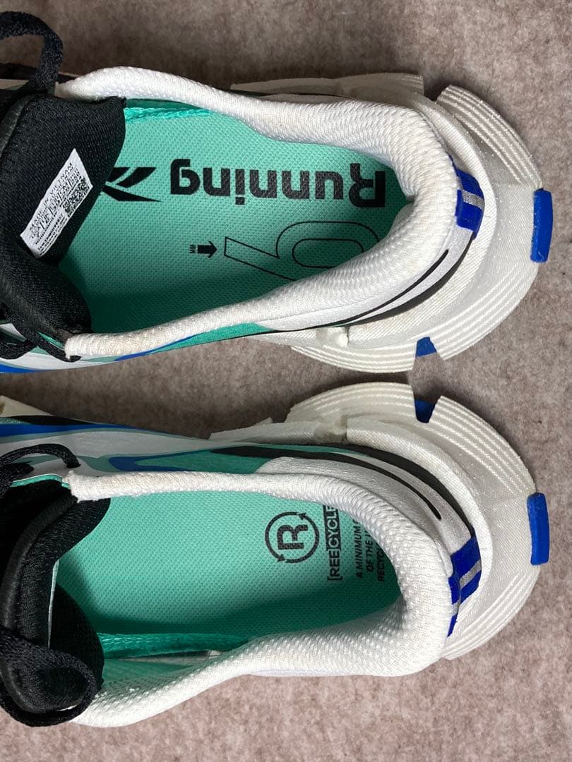 Reebok FLOATZIG 1 リーボック フロートジグ1 25cm ラン