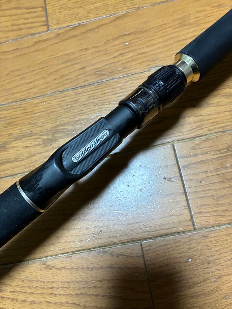 2本セットダイワ シーゲート59S-4/5 、アースシェイカーASC-58-Ⅱ