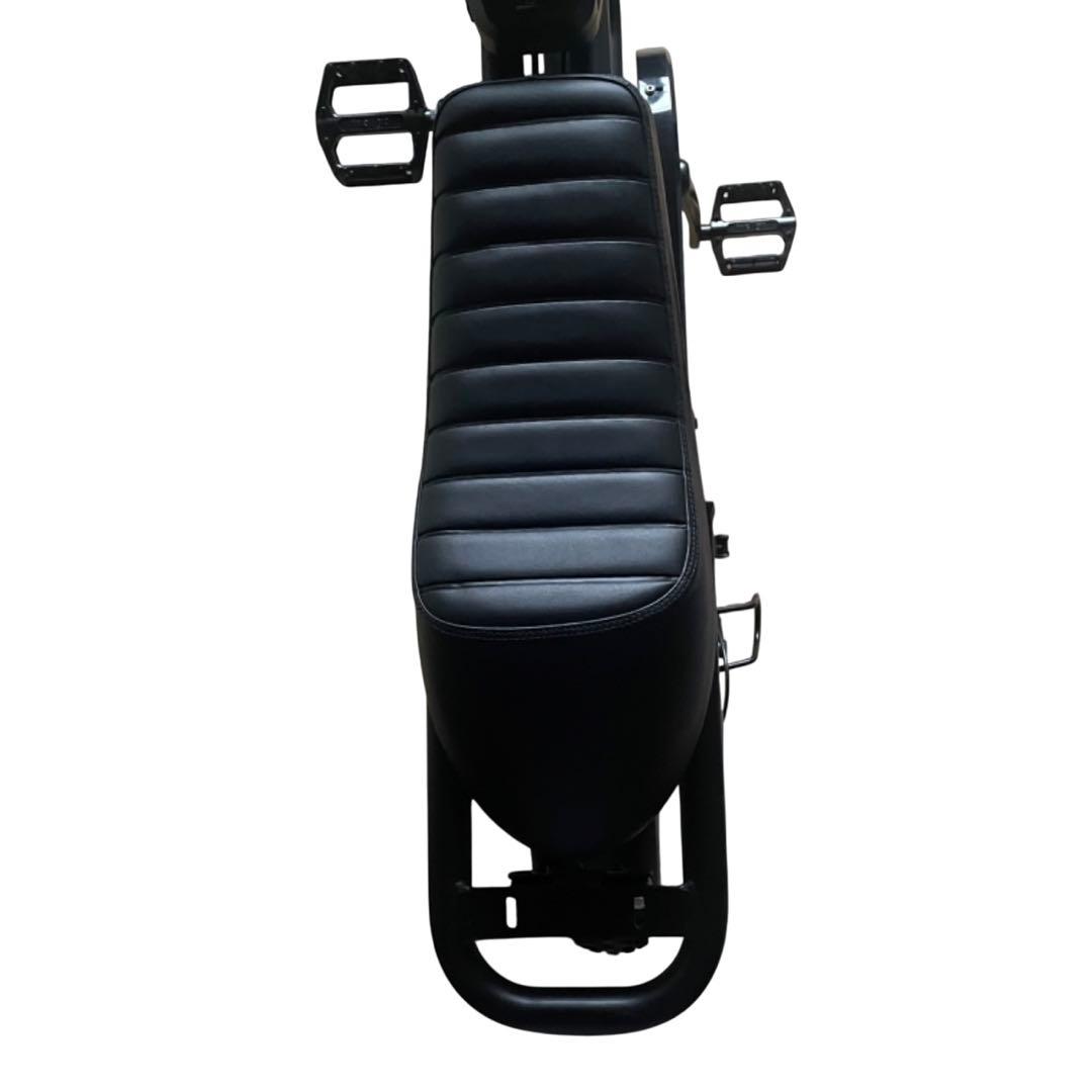 ZEFILL EZ-Rider01 E-BIKE ファットバイク 電動自転車