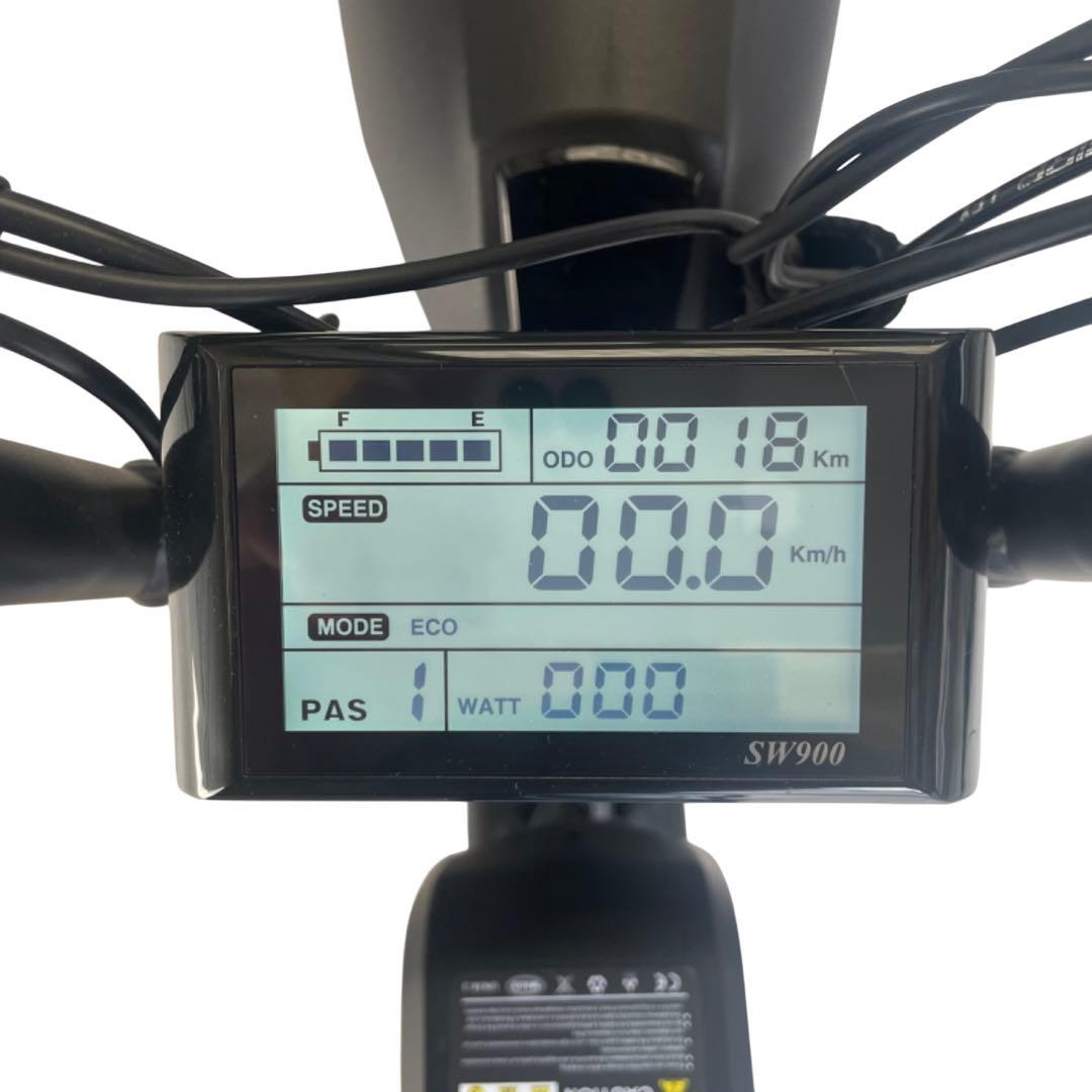 ZEFILL EZ-Rider01 E-BIKE ファットバイク 電動自転車