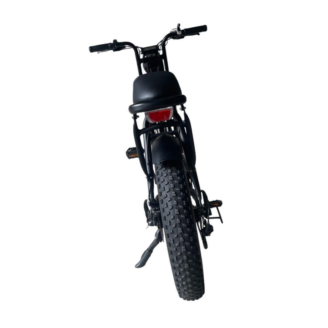 ZEFILL EZ-Rider01 E-BIKE ファットバイク 電動自転車