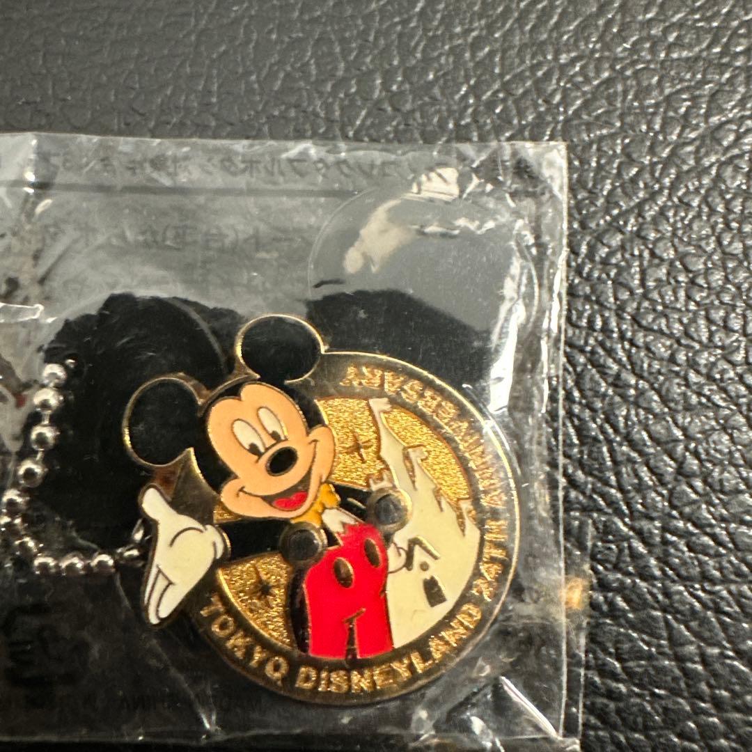 東京ディズニーリゾート 25周年 キャストファミリープログラム グッズセット