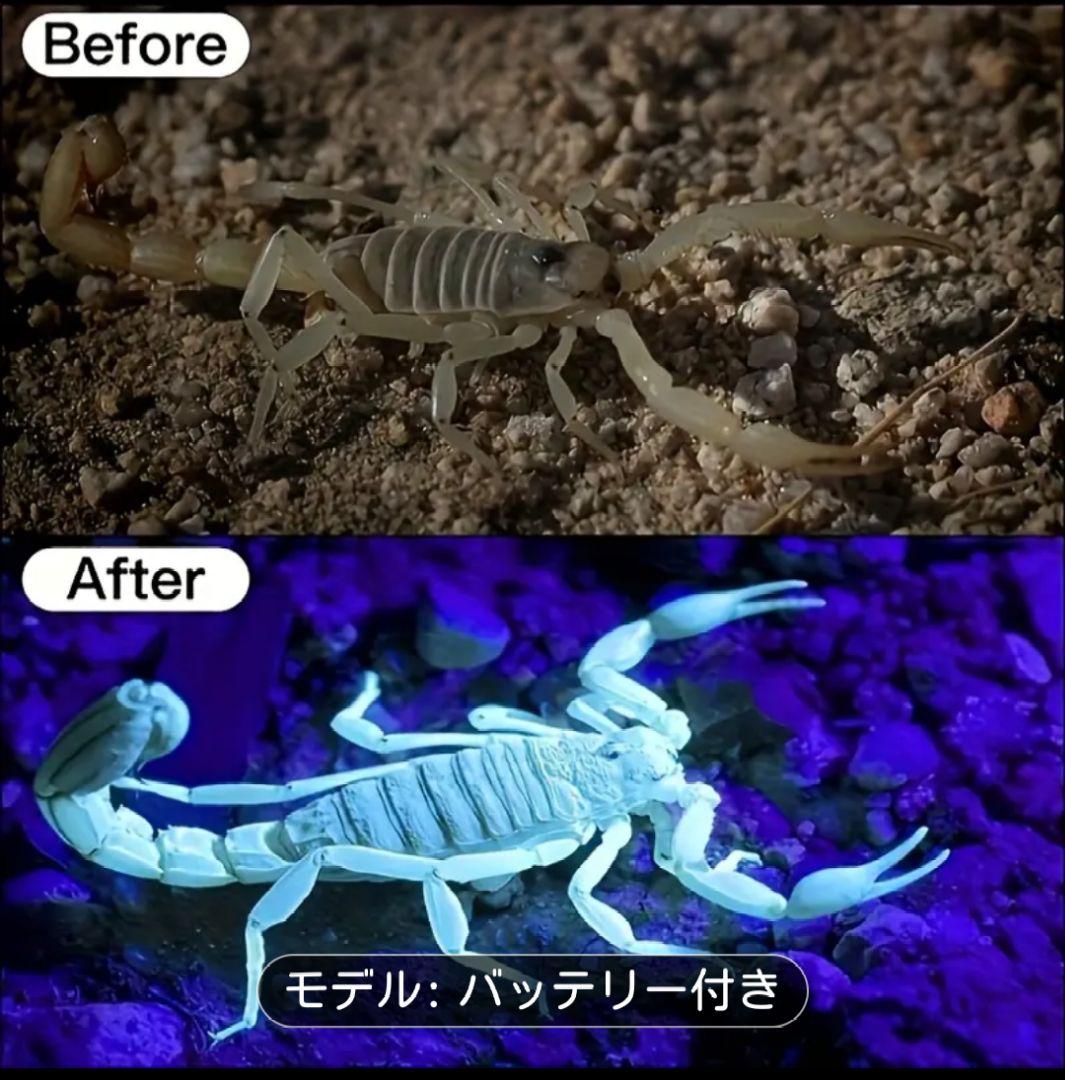 『超高性能』バイカラー赤外線ランプ付きーLEDヘッドランプ