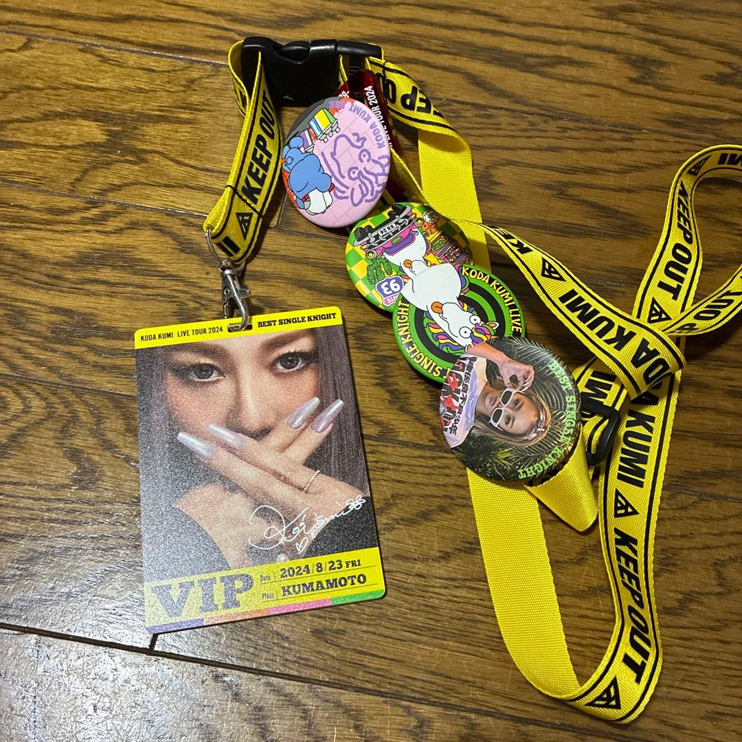 即日発送　ほぼ未使用　倖田來未　 2024、2025 VIP 他　まとめ売り