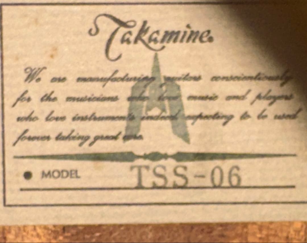 Takamine TSS-06 オール単板　修理有り