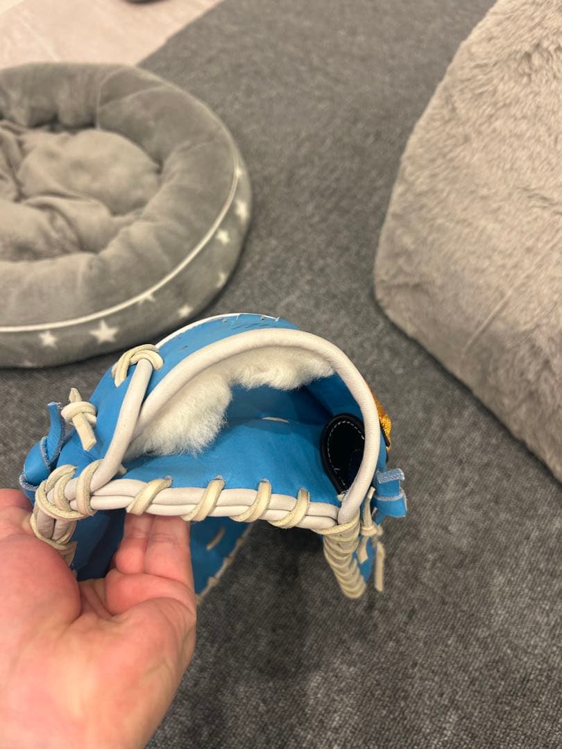 MizunoPro 硬式グローブ 青色 専用袋付き