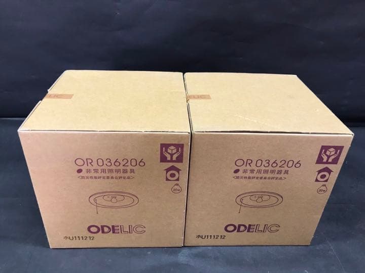 新品！天井埋め込み型　非常用　電球