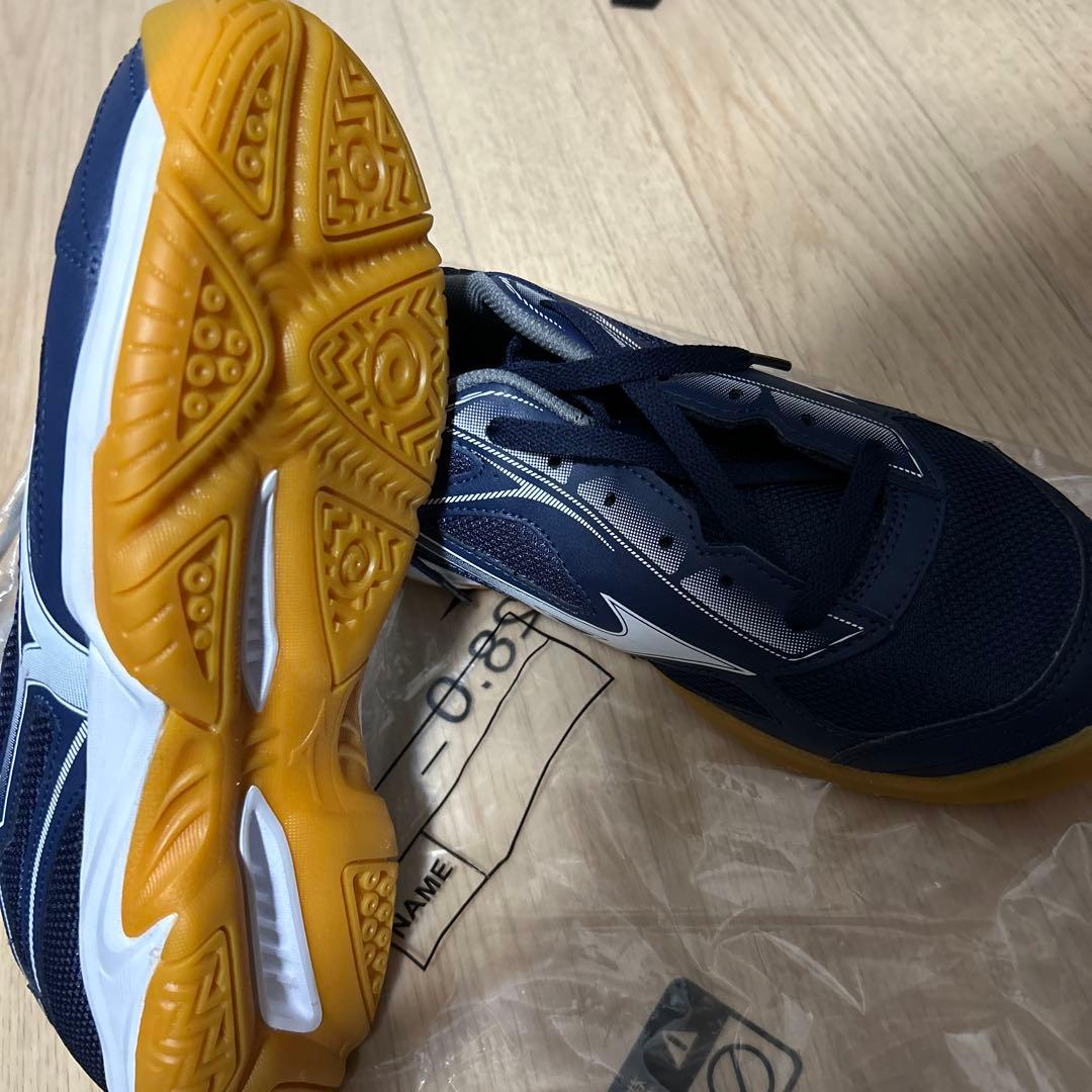 Mizuno バドミントンシューズ 28.0cm ネイビー
