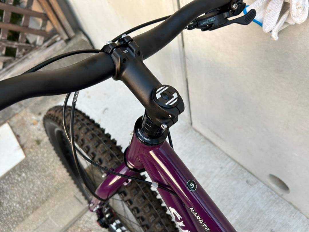 自転車本体 KARATE MONKEY