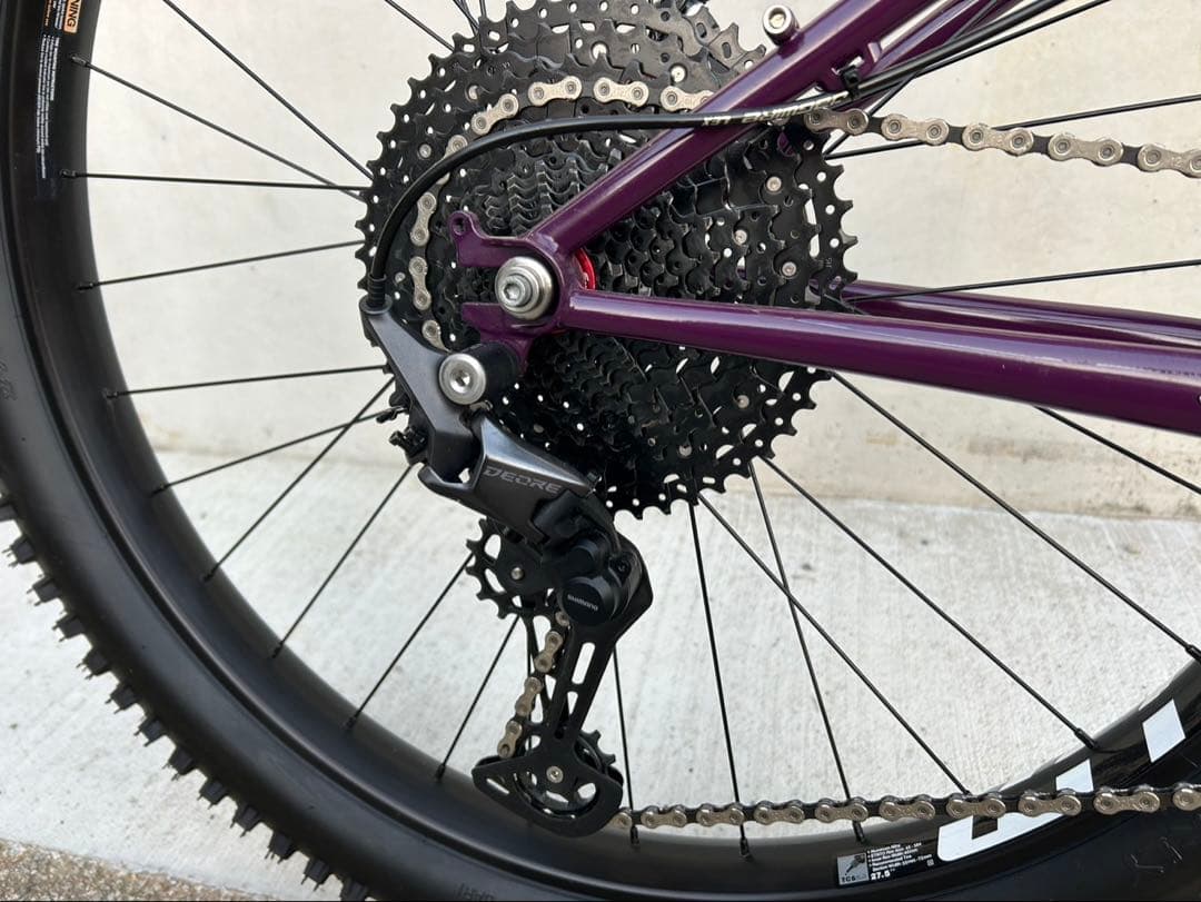 自転車本体 KARATE MONKEY