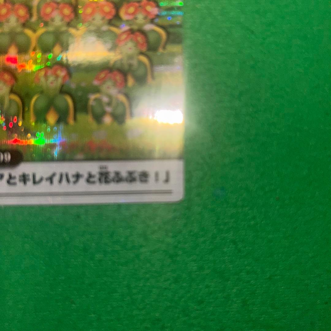 the pokemon weekly キレイハナ