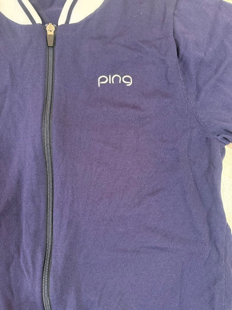 ping セットアップ