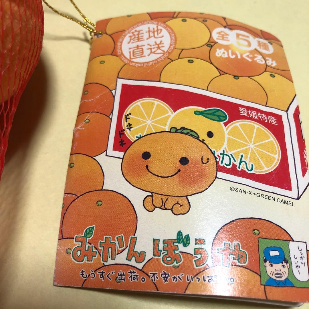 サンエックス　みかんぼうや　ぬいぐるみ