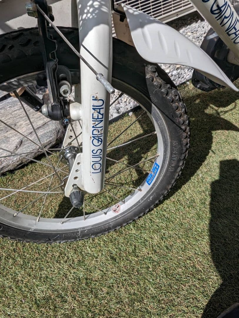 ルイガノキッズ　16インチ　自転車　カゴ付き　補助輪　アシストバー付き
