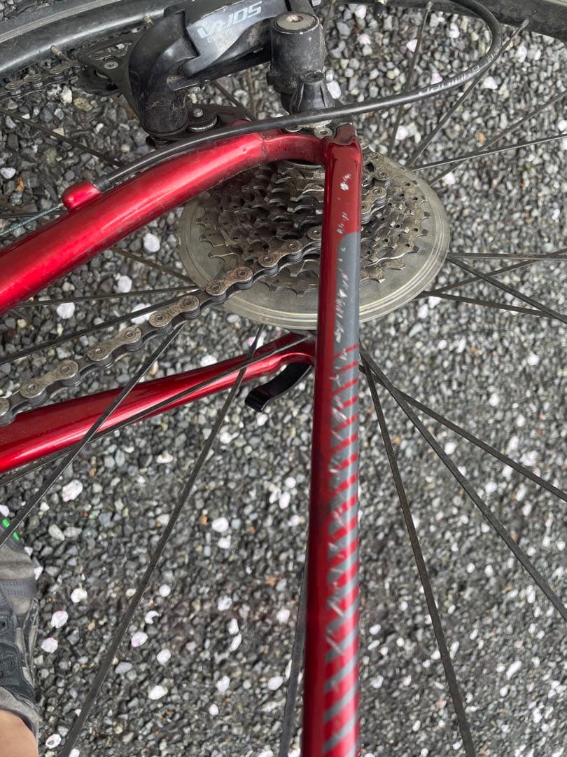 ロードバイク Fuji Naomi 49サイズ 2025年モデル