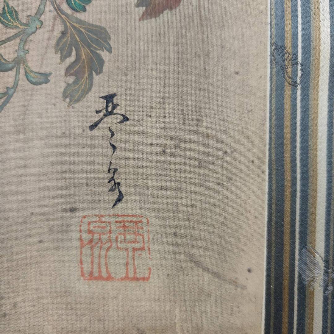 不詳/琴泉/菊に鴬図/小禽図/花鳥/布袋屋掛軸A-440