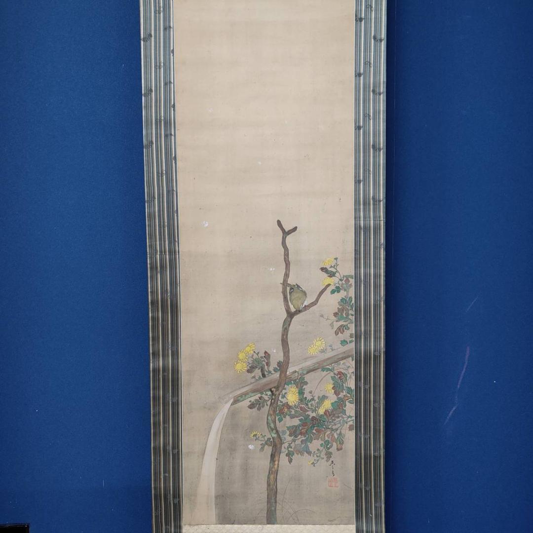 不詳/琴泉/菊に鴬図/小禽図/花鳥/布袋屋掛軸A-440