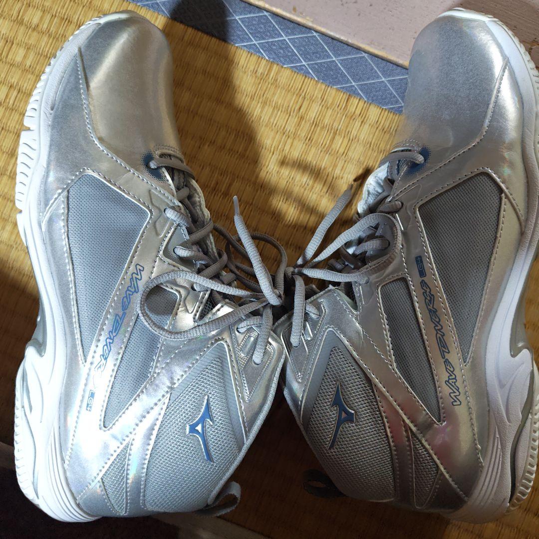 その他 Mizuno Wave Diver SL D Wide 27.0cm