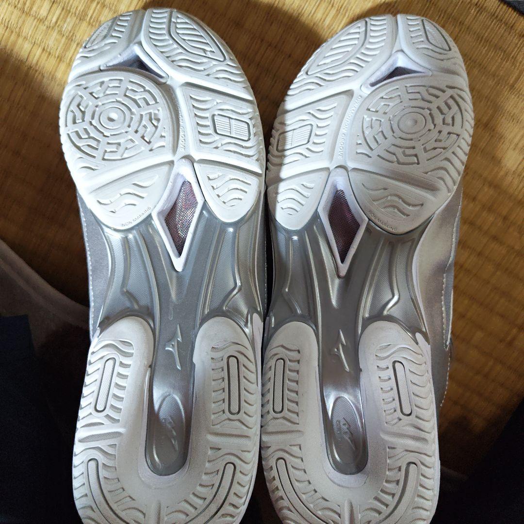 その他 Mizuno Wave Diver SL D Wide 27.0cm