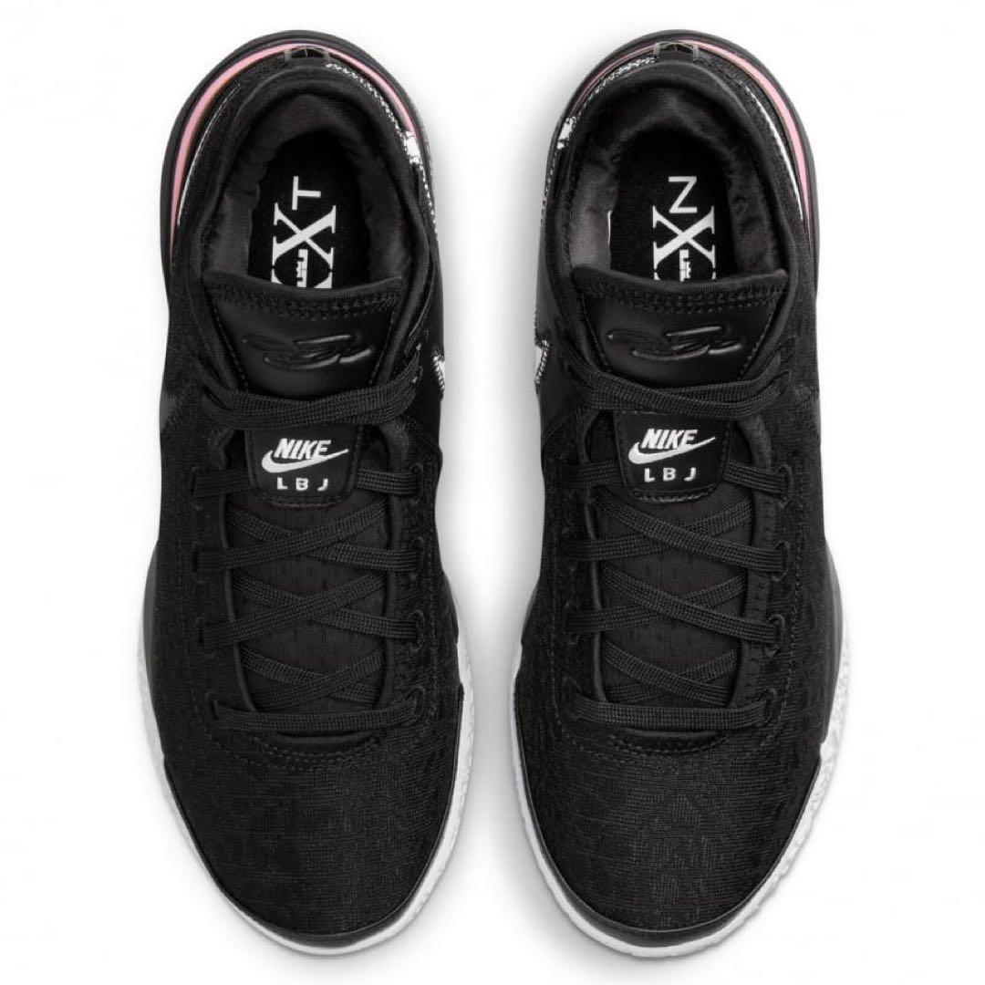 シューズ(男性用) NIKE ZOOM LEBRON NXXT GEN EP DR8788 003