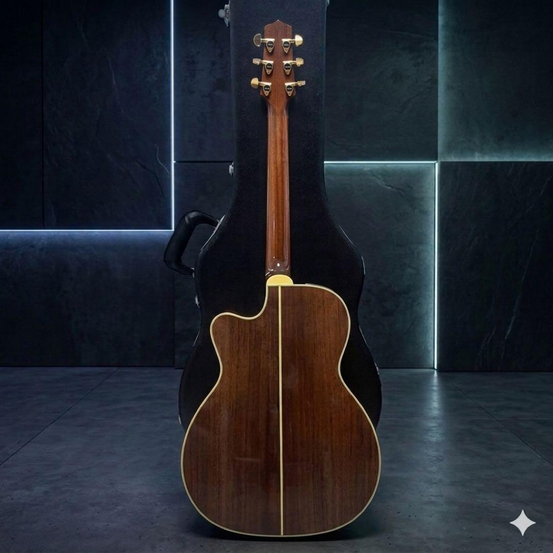 【50本限定/極希少/美品】Takamine LTD2006 エレアコ　タカミネ