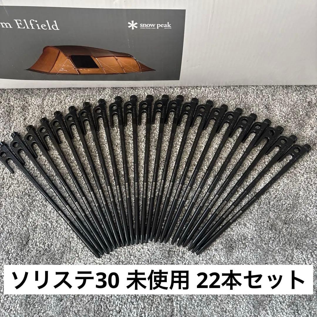 未使用 スノーピーク エントリー2ルーム エルフィールド TP880R おまけ付