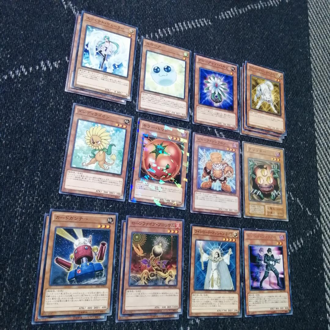 遊戯王　デッキ　デブリジャンド　1103環境　クェーサー　[04672]