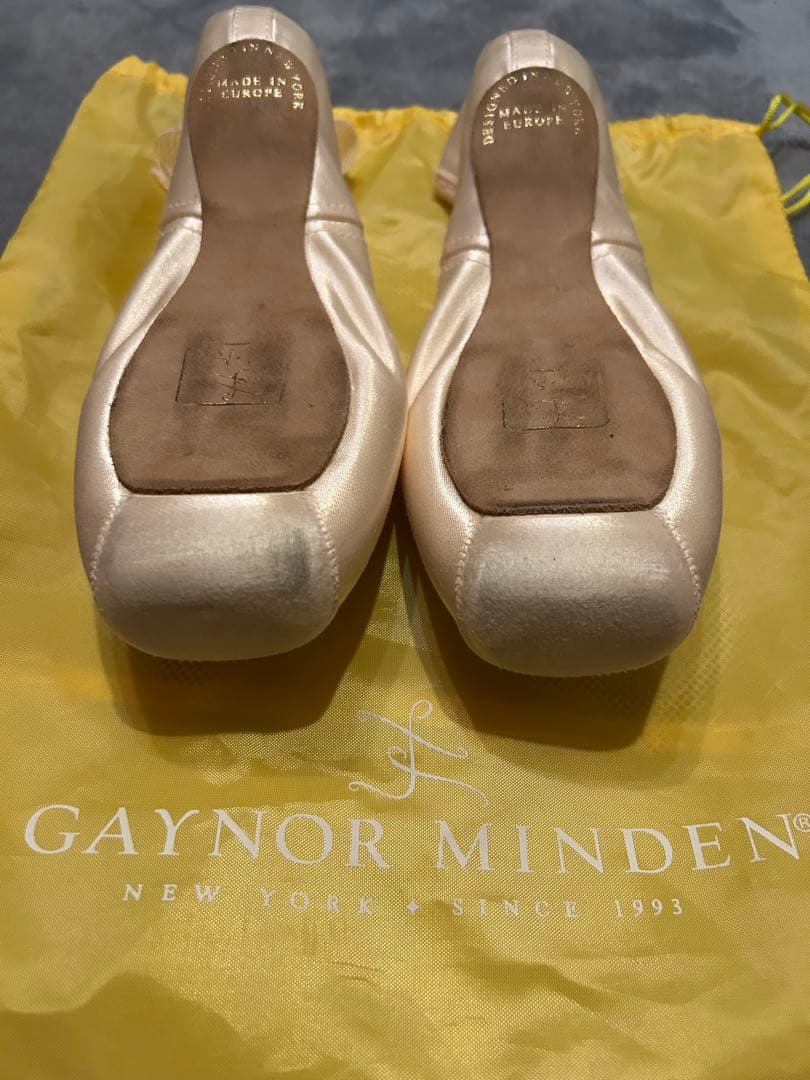 ゲイナーミンデン GAYNORMINDEN CL8.5M3XDH