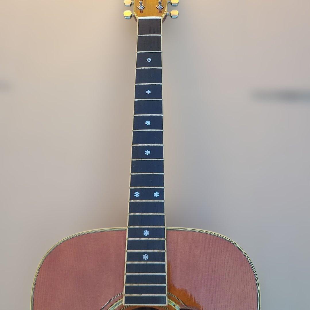 Morris TF-60T Morrisハードケース付き