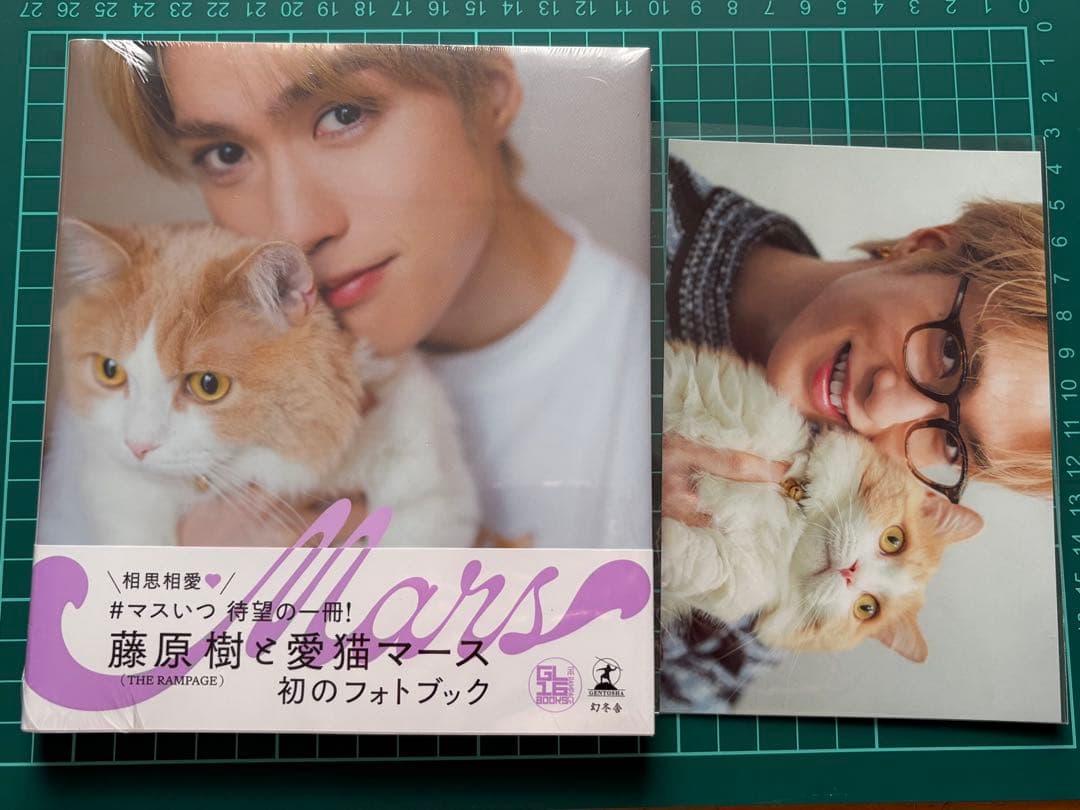 藤原樹　グッズ　まとめ売り　アクスタ　フォトカ　シクレ　マース　ストラップ