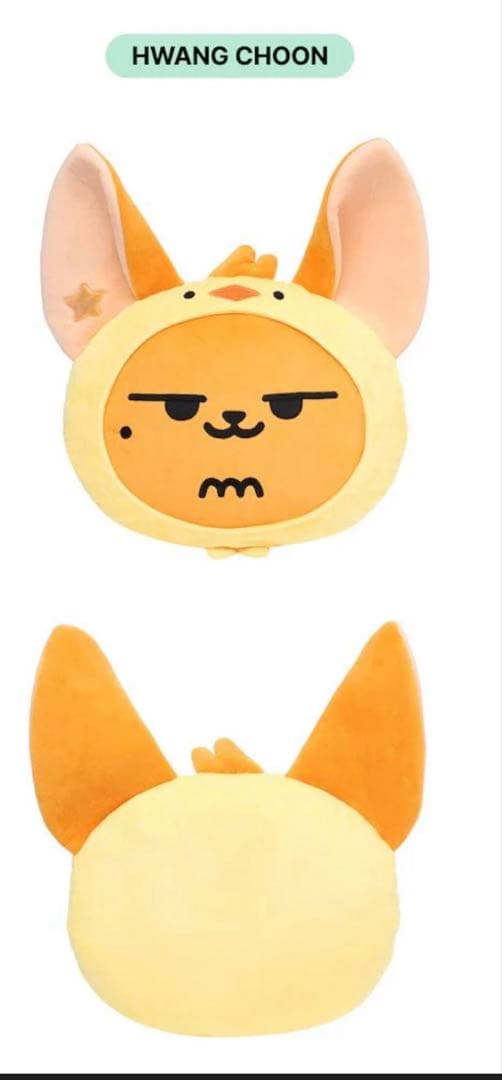 【美品】TXT プルバトゥ　フェイスクッション ファンチュン 【正規品】