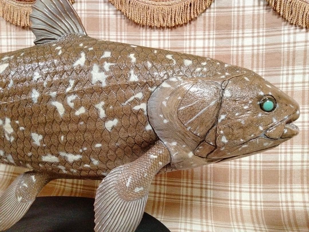 ハンドメイド　61cmシーラカンス　茶　フィギュア　レプリカ　オブジェ　化石魚